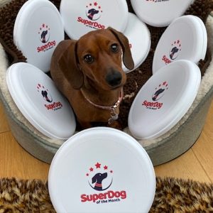 , SuperDog of the Month