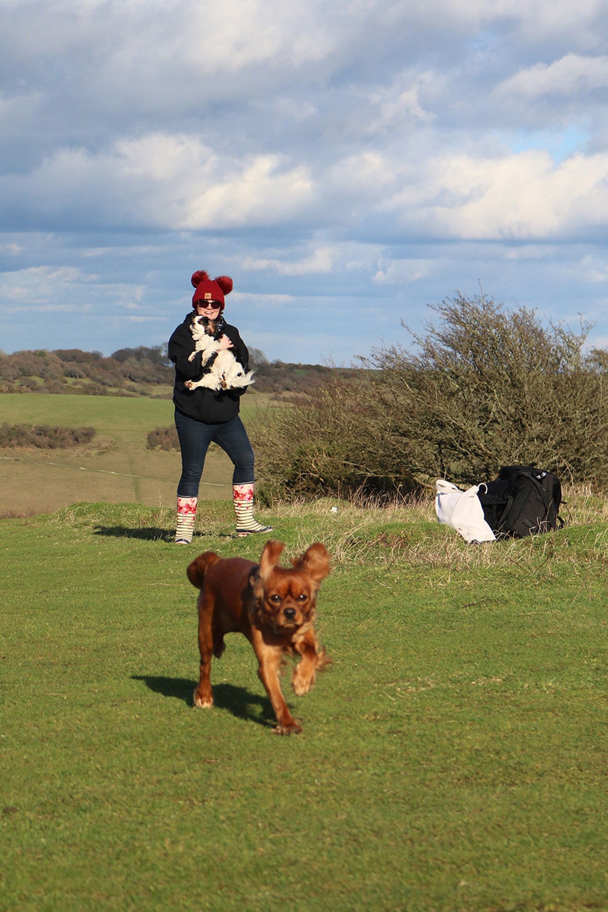 Dog Photo Shoot at Devil's Dyke, Devil&#8217;s Dyke Shoot With The Work Experience Girls